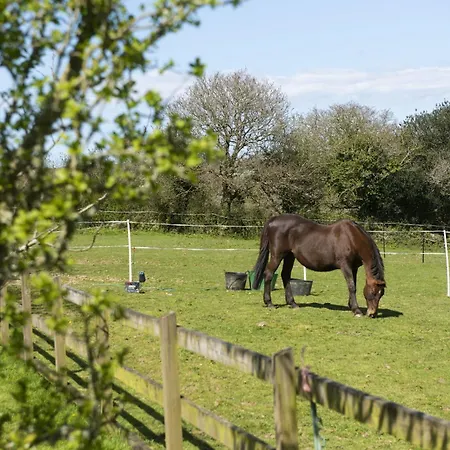 Holiday home Roseland Truro